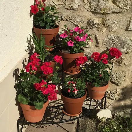 بيت للعطل Le Petit Saule Floirac (Charente-Maritime)